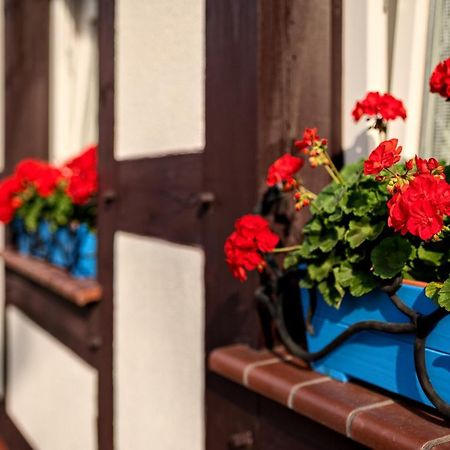 Chata Rybacka Saule Stolpmünde Exterior foto
