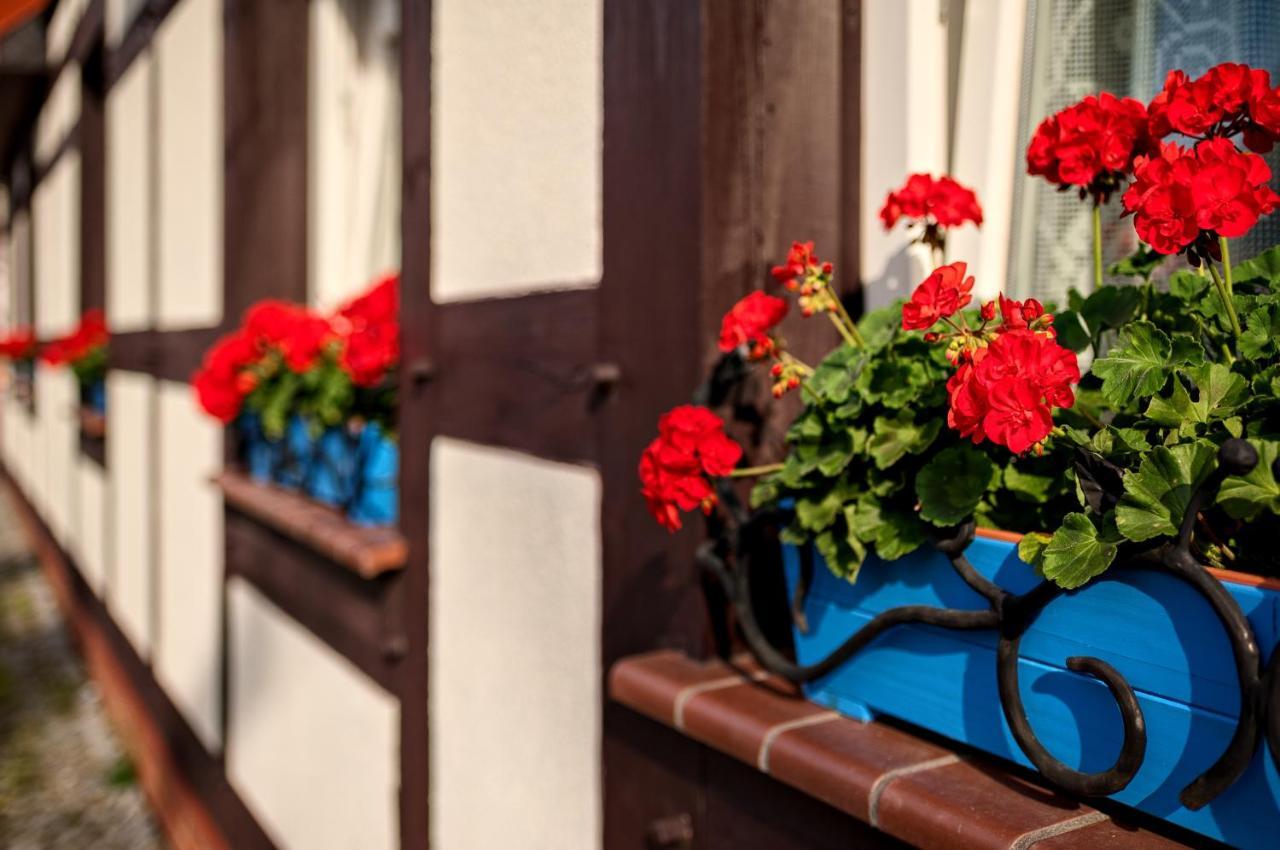 Chata Rybacka Saule Stolpmünde Exterior foto